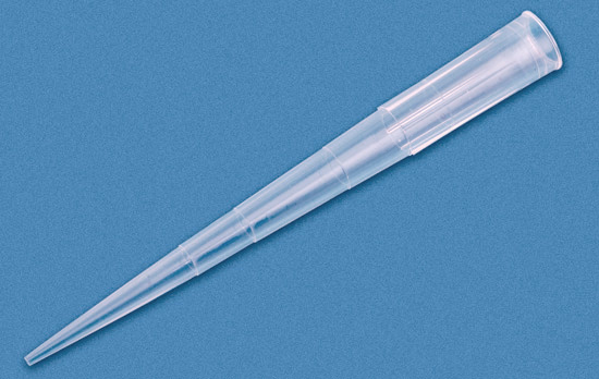 1000uL micropipette tip