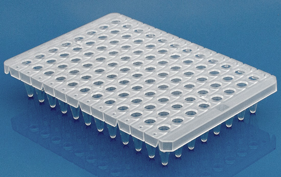 Half skirt nature 0.2mL regular profile 96 well reaction plate Half skirt nature 0.2mL regular profile 96 well reaction plate