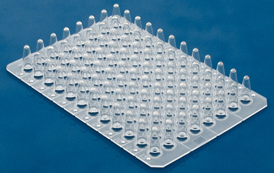 Non skirt 0.2mL PCR plate nature Non skirt 0.2mL PCR plate nature