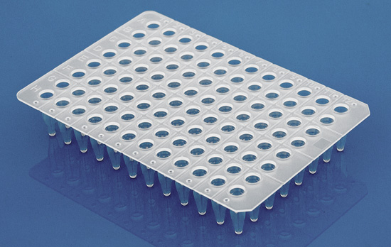 Non skirt 0.2mL PCR plate Non skirt 0.2mL PCR plate