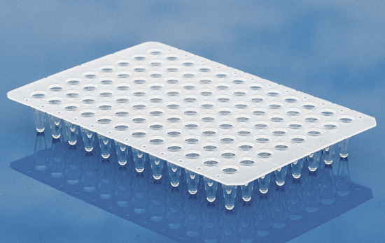 Non skirt nature 0.1mL PCR plate Non skirt nature 0.1mL x 96 well PCR plate