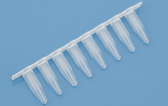 Regular profile 0.2mL PCR 8 strip tubes