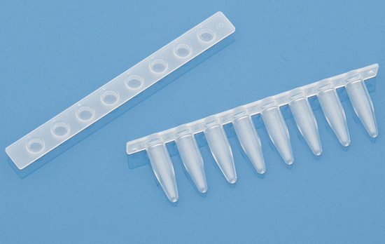 Thin wall 0.2mL PCR 8 strip tubes color nature Thin wall 0.2mL PCR 8 strip tubes color nature