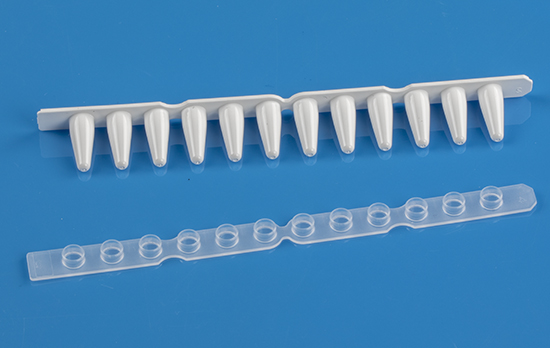 White 0.1mL (low profile) PCR 12 tube strip White 0.1mL (low profile) PCR 12 tube strip