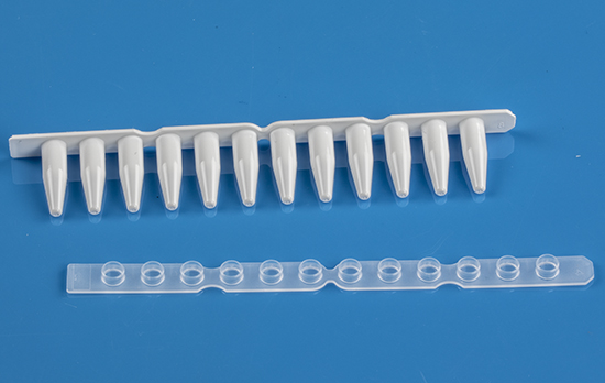 White 0.2mL (regular profile) PCR 12 tube strip