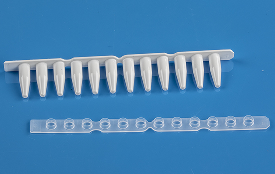 White 0.2mL (regular profile) PCR 12 tube strip White 0.2mL (regular profile) PCR 12 tube strip