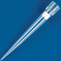Hamilton style 300uL filter pipette tips.