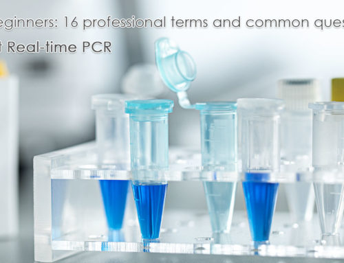 For beginners: 16 professional terms and common questions you feel confused about Real-time PCR