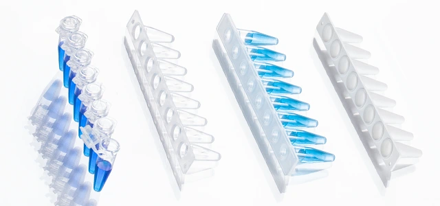 PCR tube strips.
