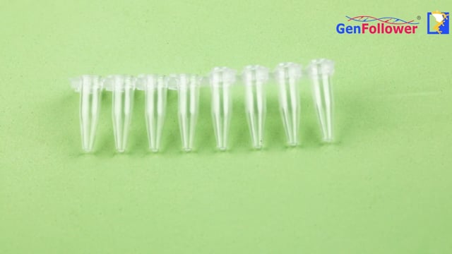 Product Display - 0.2 mL PCR 8 Tube Strips with Attached Caps