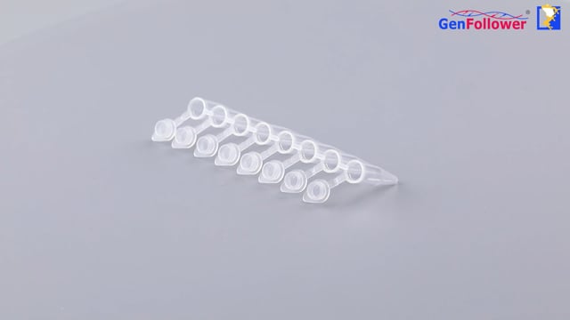 Product Display - 0.2mL PCR 8 Tube Strips with Attached Caps, No Handle