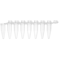 Attached cap 0.2ml pcr strips, no handle, 01.