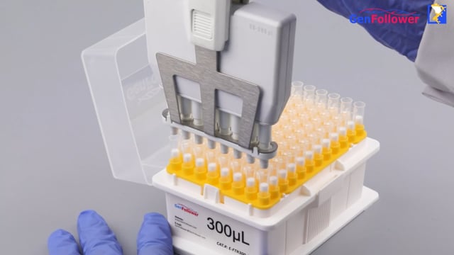 Product Display - 300uL Pipette Tips with Filter