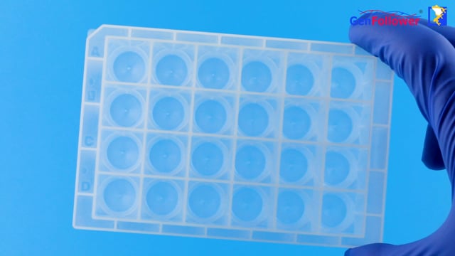 Product Display - ThermoFisher style 10 mL deep 24 well plates