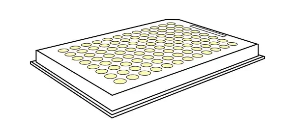 PCR Plates