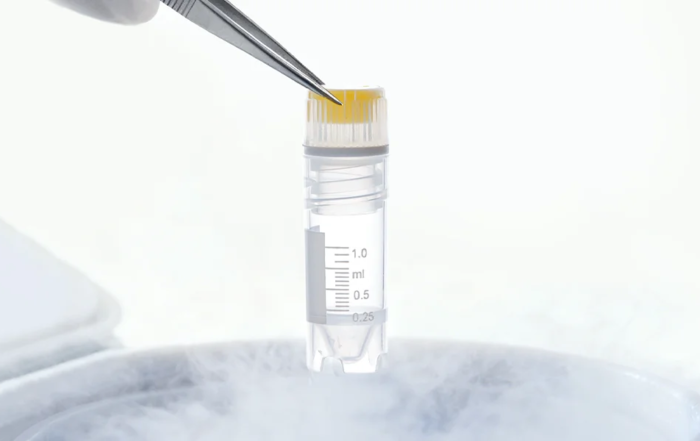 Cell Cryopreservation